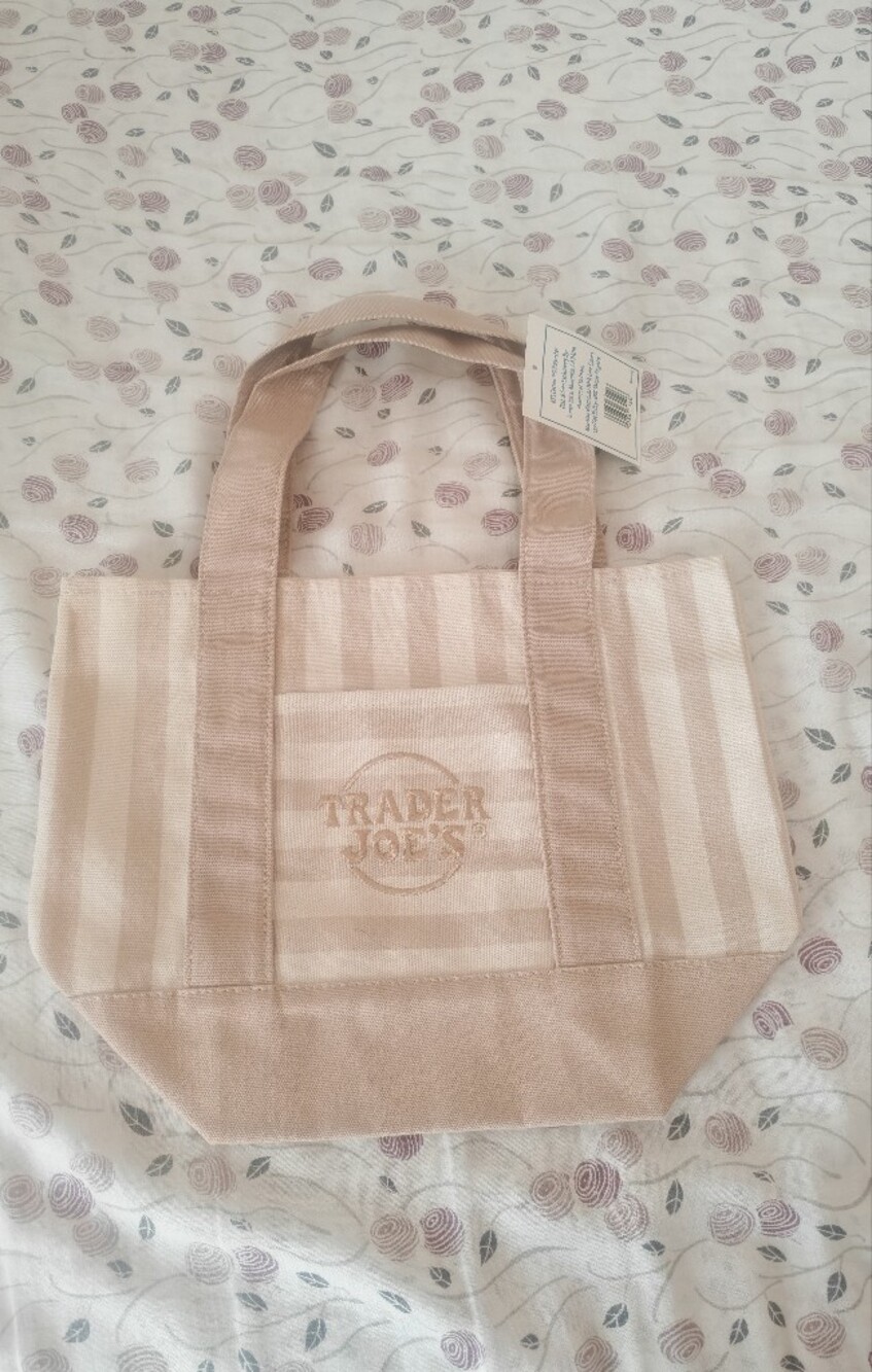 Trader Joe Small Tan Stripe Canvas Tote Bag